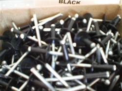 3/16" BLACK LARGE HEAD POP RIVETS 250BX